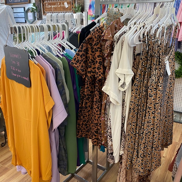 Meet your Posher, Sassy Bella - Picture 10 of 11